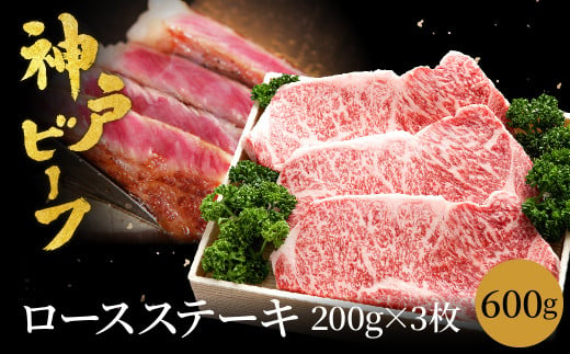 神戸牛 ロースステーキ 600g【200g×3枚】牛肉 ステーキ ロース 霜降り ステーキ肉 但馬牛 黒毛和牛 和牛 国産牛 赤身 ステーキ 牛 肉 焼肉 太田牧場 太田牛 神戸ビーフ TYST5【但馬牛太田家】 918369 - 兵庫県豊岡市