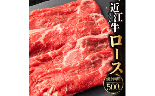 C-D22　近江牛ロース(焼き肉用)  500g 佐乃屋精肉店 牛 牛肉 国産 和牛 ブランド牛 赤身 すき焼き しゃぶしゃぶ 炒め物 煮物 ギフト 贈り物 高級 人気 近江 東近江市 滋賀県 1544731 - 滋賀県東近江市