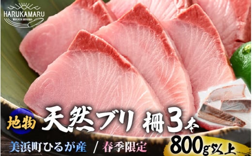 【先行予約】天然！地物！ひるがの春ぶり 柵3本【合計800g以上】【2025年4月上旬以降順次発送】 [m36-a012] 1544970 - 福井県美浜町