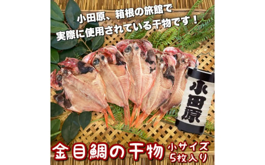 金目鯛の干物 小サイズ 5枚セット 1604655 - 神奈川県小田原市