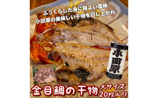 金目鯛の干物 大サイズ 20枚セット 1604669 - 神奈川県小田原市