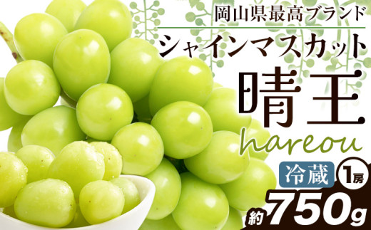 ぶどう [2025年先行予約] シャインマスカット 晴王 1房約750g《2025年9月中旬-11月上旬頃出荷》ハレノスイーツ 岡山中央卸売市場店 マスカット 送料無料 岡山県 浅口市 フルーツ 果物 贈り物 ギフト 国産 【配送不可地域あり】 st-p