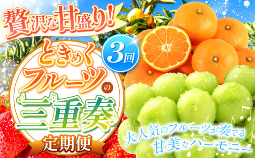 【 定期便 3回  】 贅沢な甘盛り！ ときめくフルーツの三重奏 | 果物 くだもの フルーツ シャインマスカット みかん いちご 定期 熊本県 玉名市