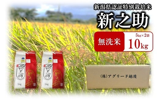 【令和6年産新米】特別栽培米 新之助 無洗米 5kg×2袋（計 10kg）おいしいね アグリード越後のお米[Y0316]