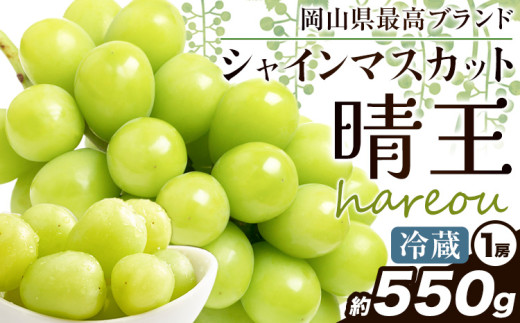 ぶどう [2025年先行予約] シャインマスカット 晴王 約550g[2025年9月中旬-11月上旬頃出荷]ハレノスイーツ 岡山中央卸売市場店 マスカット 送料無料 岡山県 浅口市 フルーツ 果物 贈り物 ギフト 国産 [配送不可地域あり] st-p