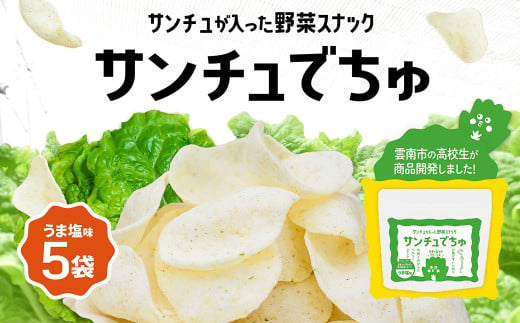 【野菜スナック】サンチュでちゅ（5パックセット）【島根県 雲南市  スナック菓子 かし お菓子 おかし  もち米 サンチュ 高校生 高校生が企画した ヘルシー オリジナル製品】