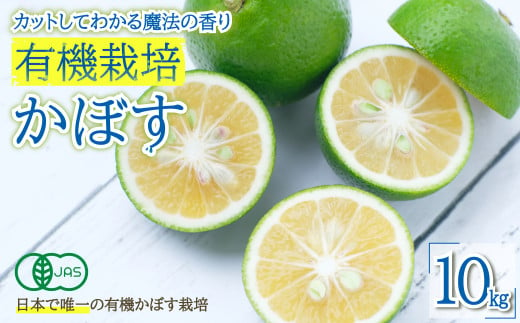 カットしてわかる魔法の香り「有機栽培かぼす」 10㎏箱入り K3 1542749 - 大分県姫島村