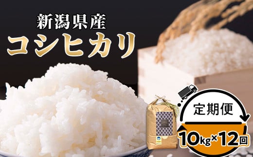 定期便12ヶ月コシヒカリ精米10kg【金助農業株式会社】 422819 - 新潟県聖籠町