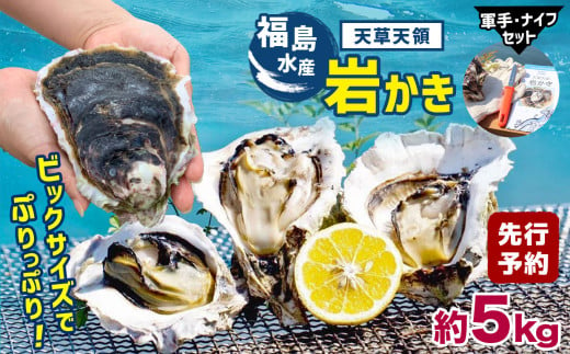 福島水産の天草天領岩かき 約5kg | 海鮮 海産物 海の幸 シーフード 魚貝類 かき 牡蠣 岩かき 岩牡蠣 夏牡蠣 生食用 生もの 濃厚 熊本県 苓北町 1546391 - 熊本県苓北町