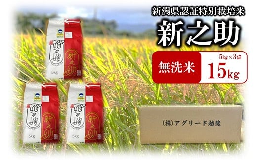 【令和6年産新米】特別栽培米 新之助 無洗米 5kg×3袋（計 15kg）おいしいね アグリード越後のお米[Y0317]