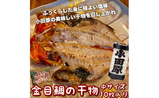 金目鯛の干物 中サイズ 10枚セット 1604662 - 神奈川県小田原市