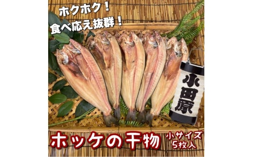 真ほっけの干物 小サイズ 5枚セット 1604673 - 神奈川県小田原市