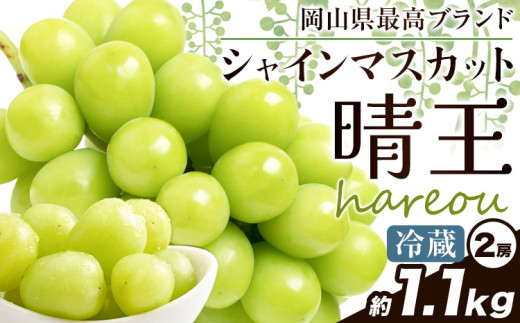 ぶどう [2025年先行予約] シャインマスカット 晴王 約1.1kg (2房)《2025年9月中旬-11月上旬頃出荷》ハレノスイーツ 岡山中央卸売市場店 マスカット 送料無料 岡山県 浅口市 フルーツ 果物 贈り物 ギフト 国産 【配送不可地域あり】 st-p