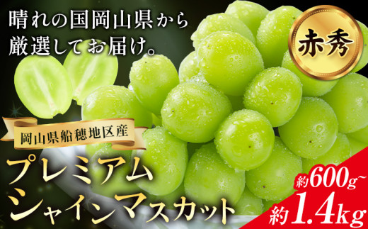 ぶどう プレミアム シャインマスカット 船穂 赤秀品 晴王 選べる内容量[2025年9月中旬-11月上旬頃より出荷予定(土日祝除く)]ハレノスイーツ 岡山中央卸売市場店 マスカット 送料無料 岡山県 浅口市 フルーツ 果物 贈り物 ギフト 国産 [配送不可地域あり] st-p