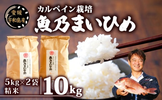 新米 コシヒカリ 魚乃まいひめ カルペイン栽培 計10kg 5kg × 2袋 精米 秀長水産 お米 米 環境保全 カルペイン 鯛 真鯛 魚肥 使用 こめ コメ kome 小分け お弁当 弁当 おにぎり ふっくら ツヤツヤ 美味しい 甘い 備蓄 防災 産地直送 数量限定 国産 愛媛 宇和島 G046-016008 1542560 - 愛媛県宇和島市