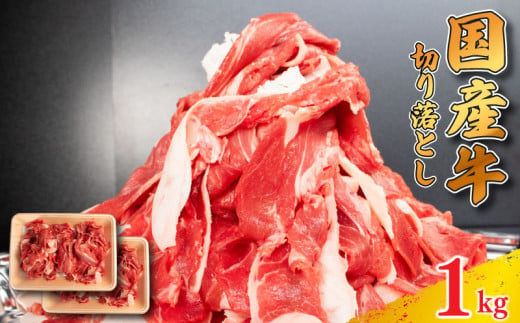 牛肉 切り落とし 1kg 肉 にく 牛肉 ぎゅうにく ビーフ しゃぶしゃぶ すき焼き すきやき 焼肉 国産 BBQ バーベキュー アウトドア キャンプ ギフト プレゼント 贈答 お取り寄せ 人気 おすすめ グルメ 冷凍 送料無料 徳島県 阿波市  1547752 - 徳島県阿波市