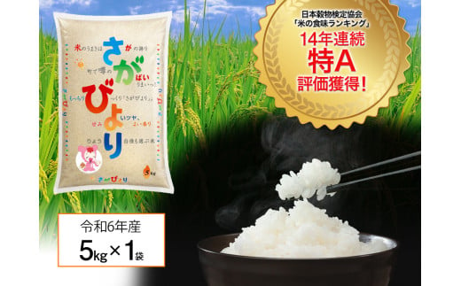 『数量限定』「令和6年産」佐賀県産 さがびより5kg（化粧箱入）［A0418-A03］ 1102611 - 佐賀県佐賀県庁