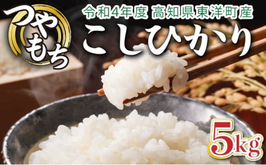 令和6年産 コシヒカリ 5kg　米 こしひかり 白米 こめ コメ 人気 精米　S137 325806 - 高知県東洋町