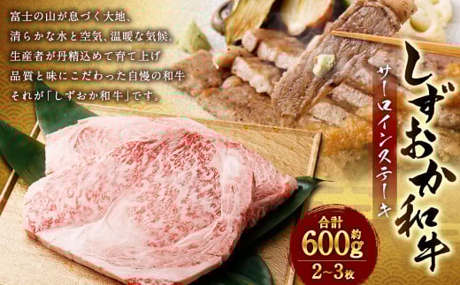 しずおか和牛 サーロインステーキ 約600g(2~3枚)