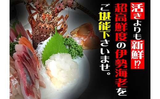 アイテムID:340275の画像2枚目