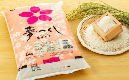 新米】【令和6年産】 福岡県産 米 夢つくし 10kg セット ( 5kg×2袋 ) | 新米 お米 こめ コメ 白米 精米 ライス ブランド米 令和6 年 お取り寄せ 美味しい おいしい ご飯 ごはん 料理 調理 人気 おすすめ 小分け 福岡県 大川市 -