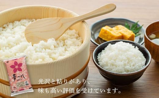 新米】【令和6年産】 福岡県産 米 夢つくし 10kg セット ( 5kg×2袋 ) | 新米 お米 こめ コメ 白米 精米 ライス ブランド米 令和6 年 お取り寄せ 美味しい おいしい ご飯 ごはん 料理 調理 人気 おすすめ 小分け 福岡県 大川市 -