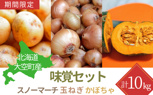 【期間限定】北海道大空町産味覚セット 計10kg 【 ふるさと納税 人気 おすすめ ランキング じゃがいも ジャガイモ いも 芋 スノーマーチ たまねぎ 玉ねぎ 南瓜 かぼちゃ カボチャ 甘い カレー 北海道産 野菜 旬 北海道 大空町 送料無料 】 OSA051