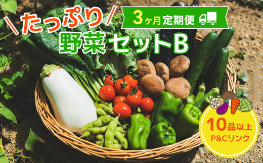 【 3ヶ月 定期便 】 野菜セット 10品 季節 旬 野菜 詰め合せ 定期 国産 季節 旬 おまかせ 産地直送 春野菜 夏野菜 秋野菜 きのこ 葉物 果物 果菜 根菜 冷蔵 野菜室 ダイエット 食 栄養食 加工品 カット野菜 岩手県産 北上産 季節限定 山菜 ブロッコリー たまねぎ さつまいも とうもろこし サラダ トマト しいたけ アスパラガス 送料無料 岩手県 北上市 F0129 1546123 - 岩手県北上市