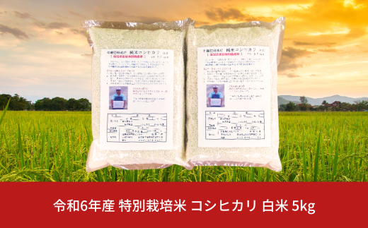 特別栽培米 コシヒカリ 白米 5kg 新潟県産 令和6年産 [佐藤農産有機センター]【010S444】 1220683 - 新潟県三条市