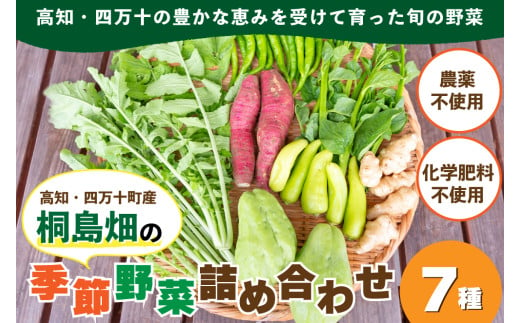 【栽培期間中、農薬・化学肥料不使用】桐島畑の季節野菜詰め合わせ(7種類)  Fkh-10   ／  やさい 国産野菜 四万十 高知 季節 フレッシュ 旬 無農薬 有機農業 1548318 - 高知県四万十町