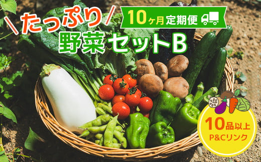 【 10ヶ月 定期便 】野菜セット 10品 季節 旬 野菜 詰め合せ 定期 国産 季節 旬 おまかせ 産地直送 春野菜 夏野菜 秋野菜 きのこ 葉物 果物 果菜 根菜 冷蔵 野菜室 ダイエット 食 栄養食 加工品 カット野菜 岩手県産 北上産 季節限定 山菜 ブロッコリー たまねぎ さつまいも とうもろこし サラダ トマト しいたけ アスパラガス 送料無料 岩手県 北上市 L0096 1546129 - 岩手県北上市