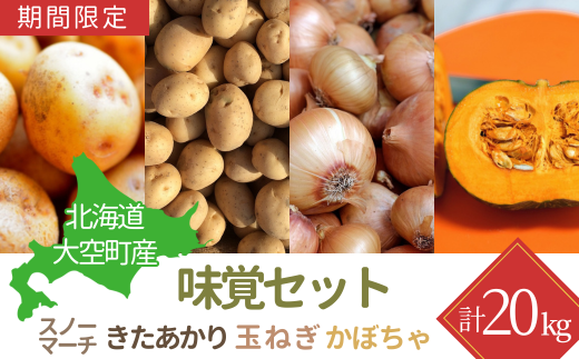 【期間限定】北海道大空町産味覚セット 計20kg 【 ふるさと納税 人気 おすすめ ランキング じゃがいも ジャガイモ いも 芋 スノーマーチ きたあかり たまねぎ 玉ねぎ 南瓜 かぼちゃ カボチャ 甘い カレー 北海道産 野菜 旬 北海道 大空町 送料無料 】 OSA046