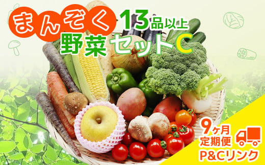 【 9ヶ月 定期便 】 野菜セット 13品 季節 旬 野菜 詰め合せ 定期 国産 季節 旬 おまかせ 産地直送 春野菜 夏野菜 秋野菜 きのこ 葉物 果物 果菜 根菜 冷蔵 野菜室 ダイエット 食 栄養食 加工品 カット野菜 岩手県産 北上産 季節限定 山菜 ブロッコリー たまねぎ さつまいも とうもろこし サラダ トマト しいたけ アスパラガス 送料無料 岩手県 北上市 P0115