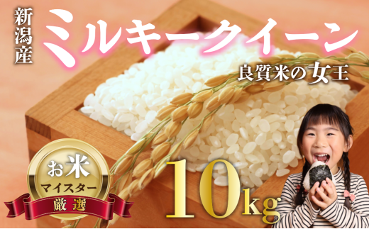 新米 ミルキークイーン 10kg お米 米 白米 こめ しんまい 令和6年産 ご飯 備蓄 贈答 コメ 新潟産 新潟県 新潟米 新潟 新発田 斗伸 1547350 - 新潟県新発田市