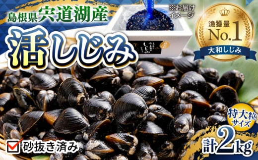 新鮮採れたて！宍道湖産活大和しじみ特大粒 2kg (砂はき済み) 島根県松江市/平野缶詰有限会社 [ALBZ023] 1545430 - 島根県松江市