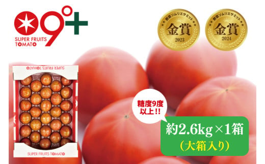 【先行予約・数量限定】スーパーフルーツトマト大箱 約2.6kg×1箱【とまと フルーツトマト ブランドトマト 糖度9度以上 野菜 フレッシュ リコピン ビタミンE 野菜ソムリエ 茨城県】（LJ-2） 1547292 - 茨城県水戸市