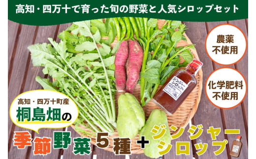 【栽培期間中、農薬・化学肥料不使用】桐島畑の季節野菜(5種類)＋ジンジャーシロップ1本  Fkh-11  ／  やさい 国産野菜 四万十 高知 季節 フレッシュ 旬 無農薬 有機農業 生姜 粗糖 温活 ジンジャーエール ホットジンジャー 1548319 - 高知県四万十町