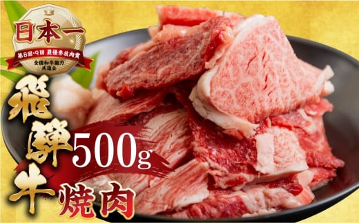 [発送月が選べる・年内発送][訳あり]飛騨牛 焼肉 切り落とし 500g | 牛肉 肉 切落し わけあり ワケアリ 不揃い 冷凍 本巣市 トキノ屋 食品 訳有 焼肉セット 焼肉用 [mt505] 13000円 年内配送 年内お届け 11月 12月 1月 2月 3月 4月 5月