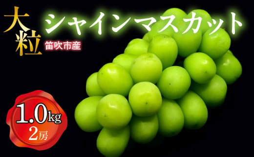 ＜25年発送先行予約＞笛吹市産　大粒ｼｬｲﾝﾏｽｶｯﾄ　1.0㎏以上(2房) 227-001 ｜ふるさと納税 ぶどう シャインマスカット 笛吹市 国産 人気 期間限定 果物 フルーツ 旬 山梨県 送料無料 1465150 - 山梨県笛吹市