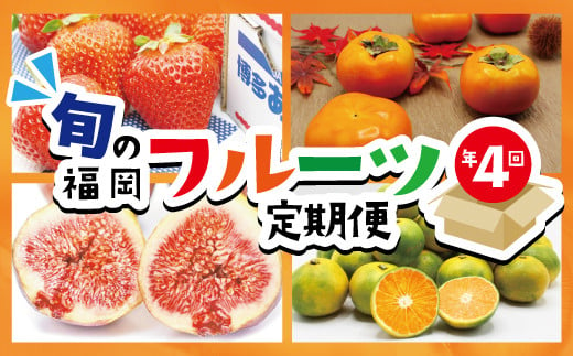 【定期便】福岡県ブランドフルーツ定期便（年４回） ブランド いちご ぶどう みかん 柿 大人気 NO1 限定品 高級 フルーツ 果物 くだもの 特別 冷蔵 プレゼント 九州 福岡 宮若市 ふるさと納税 おすすめ 送料無料 M771 1545860 - 福岡県宮若市