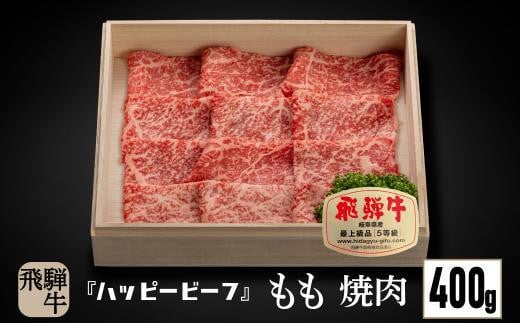 【12月配送】飛騨牛 A5等級 赤身 もも肉 焼肉 400g 年内発送 発送時期が選べる 黒毛和牛 ブランド牛 Ａ5ランク ハッピープラス 飛騨高山 JQ021VC12 1545968 - 岐阜県高山市