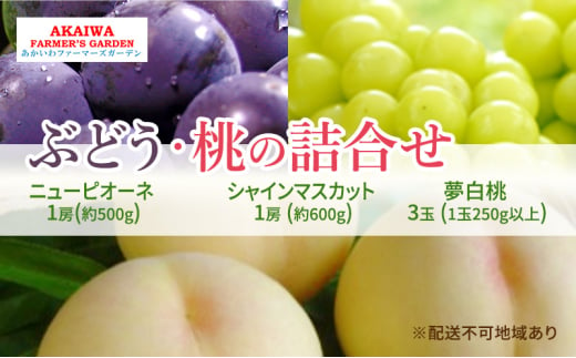 桃 ぶどう 詰合せ 2025年 先行予約  夢白桃 3玉（1玉250g以上） ニュー ピオーネ 1房 約500g 　シャインマスカット1房約600ｇ　岡山県 赤磐市産 フルーツ 果物 あかいわファーマーズガーデン