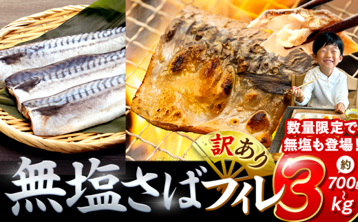 訳あり 無塩サバ 約700g 約2kg 約3kg 冷凍 鯖 無塩 さば 魚 さかな 海鮮 海産物 おかず サバ 鯖ご飯 おすすめ 人気 さば サバ 鯖 魚 魚介 海鮮 惣菜 無塩サバ 無塩鯖 焼き鯖 サバ 焼きさば 焼さば 鯖 さば サバ ギフト おすすめ 人気 ふるさと納税 鯖 サバ さば ふるさと納税さば 愛知県南知多町 南知多 愛知県 愛知県産サバ さば 鯖 南知多町産サバ さば 鯖