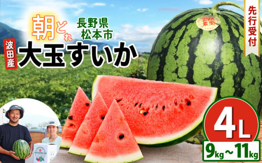 【先行受付】松本市　波田産　大玉すいか　4L（9kg～11kg)│ 信州 松本市 長野県 西瓜 すいか 果物 大玉 スイカ フルーツ くだもの フルーツ ふるーつ 1445104 - 長野県松本市