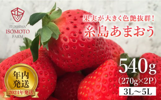 【2024年・年内発送】糸島の美味いあまおう（270g×2パック）A品B品含む3L～5L【磯本農園】いちご/イチゴ/苺/家庭用 [ATB021] 522988 - 福岡県糸島市