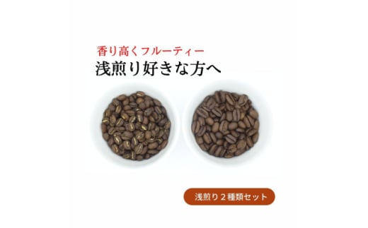 スペシャルティコーヒー 浅煎りコーヒー豆2種類セット 合計600g(粉 中挽き)【1346176】 542892 - 愛知県豊川市