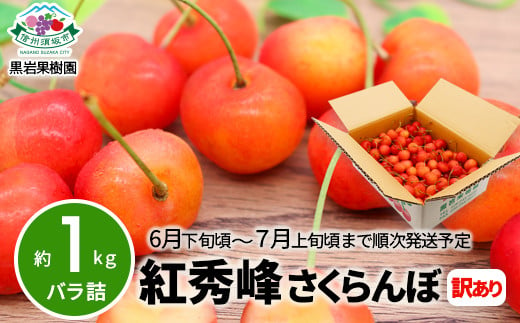 [No.5657-2556]紅秀峰 さくらんぼ 訳あり 約1kg（バラ詰）《黒岩果樹園》■2025年発送■※6月下旬頃～7月上旬頃まで順次発送予定 1060111 - 長野県須坂市