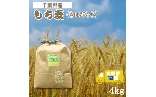 ＜毎月定期便＞食物繊維たっぷりの「もち麦」(きはだもち) 4kg 千葉県横芝光町産全12回【4056806】 1550292 - 千葉県横芝光町