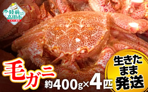 毛ガニ　約400g  4匹（尾）