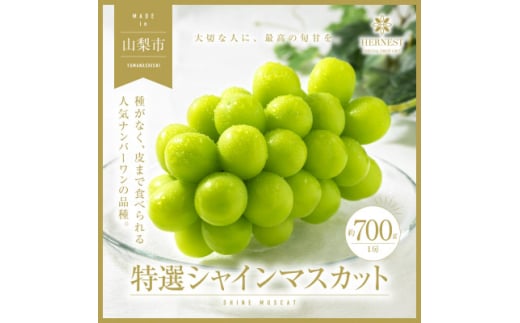 2025年先行受付 山梨県山梨市産　特選　旬の採れたてシャインマスカット　1房　(700g以上)【1134844】 1137175 - 山梨県山梨市